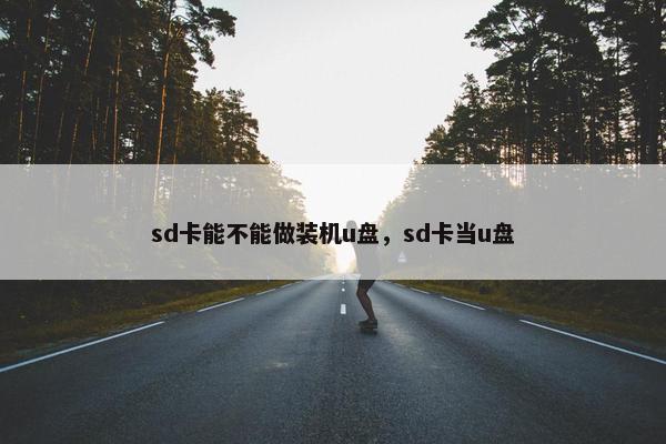 sd卡能不能做装机u盘，sd卡当u盘