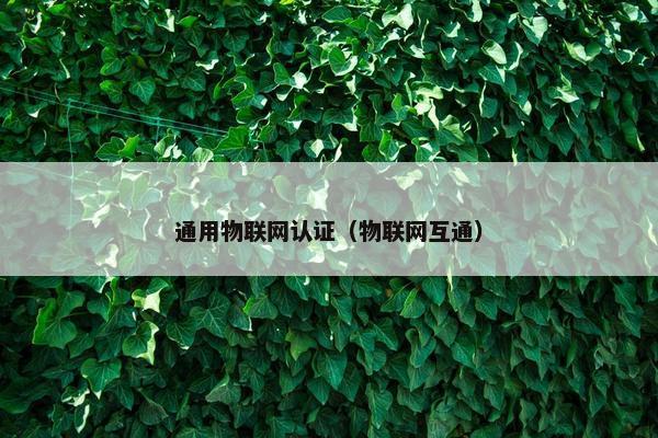 通用物联网认证（物联网互通）
