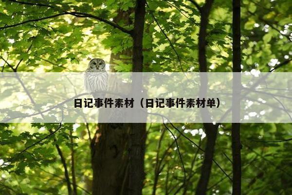 日记事件素材（日记事件素材单）