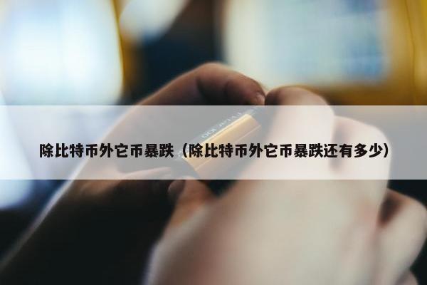 除比特币外它币暴跌（除比特币外它币暴跌还有多少）