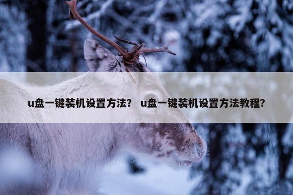 u盘一键装机设置方法？ u盘一键装机设置方法教程？