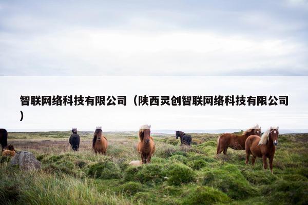 智联网络科技有限公司（陕西灵创智联网络科技有限公司）