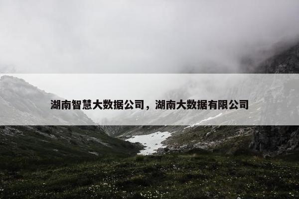 湖南智慧大数据公司，湖南大数据有限公司