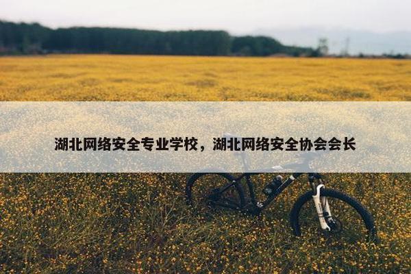 湖北网络安全专业学校，湖北网络安全协会会长