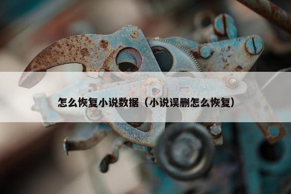 怎么恢复小说数据（小说误删怎么恢复）