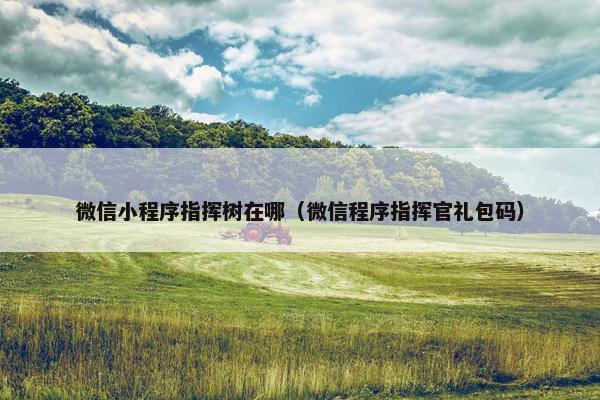 微信小程序指挥树在哪（微信程序指挥官礼包码）