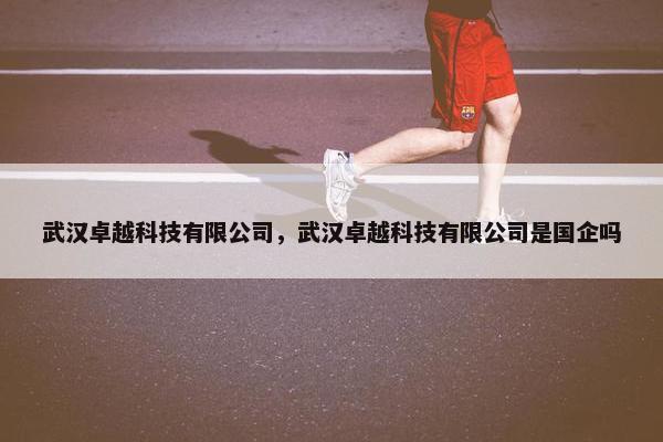 武汉卓越科技有限公司，武汉卓越科技有限公司是国企吗