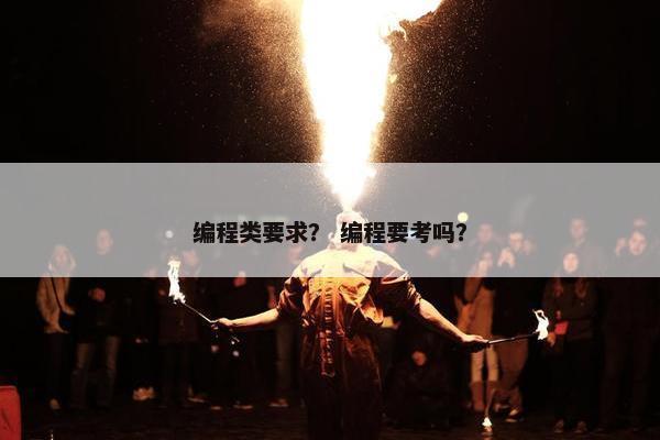 编程类要求？ 编程要考吗？