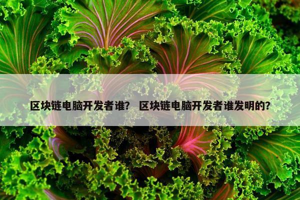 区块链电脑开发者谁？ 区块链电脑开发者谁发明的？