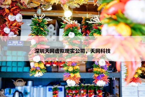 深圳天网虚拟现实公司，天网科技