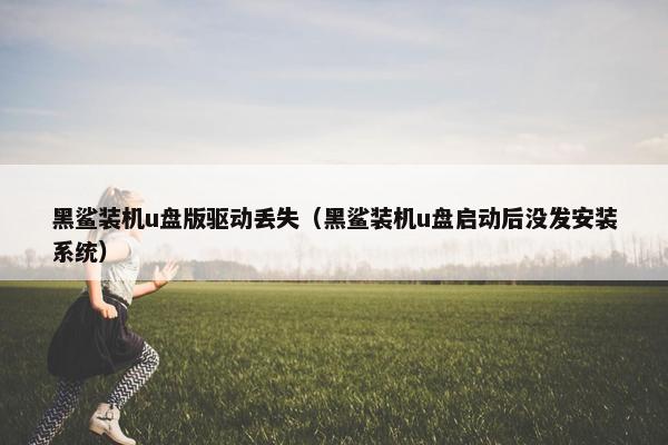 黑鲨装机u盘版驱动丢失（黑鲨装机u盘启动后没发安装系统）