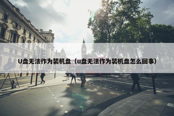 U盘无法作为装机盘（u盘无法作为装机盘怎么回事）