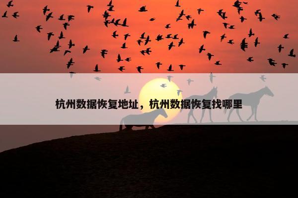 杭州数据恢复地址，杭州数据恢复找哪里