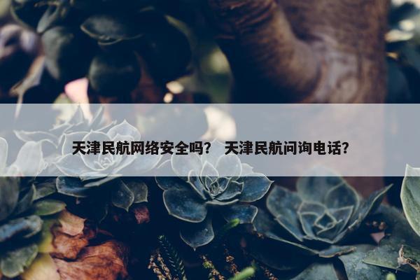 天津民航网络安全吗？ 天津民航问询电话？