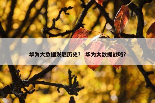 华为大数据发展历史？ 华为大数据战略？