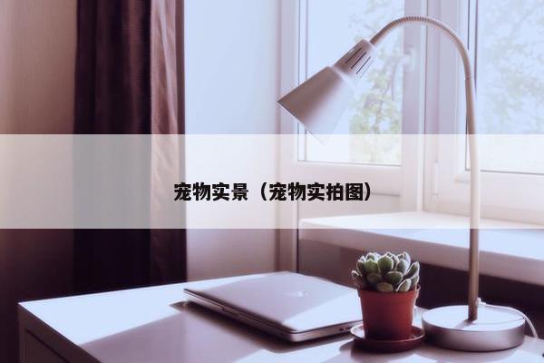 宠物实景（宠物实拍图）