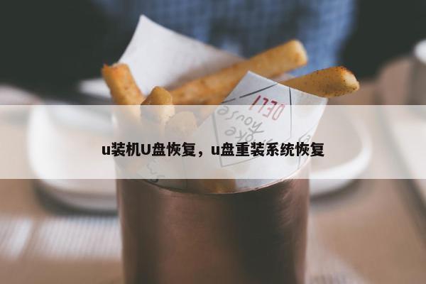 u装机U盘恢复，u盘重装系统恢复