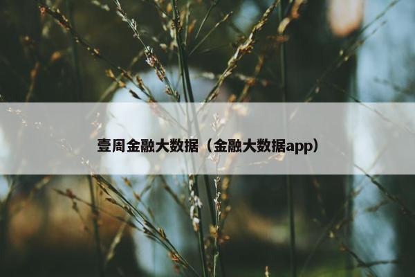 壹周金融大数据（金融大数据app）