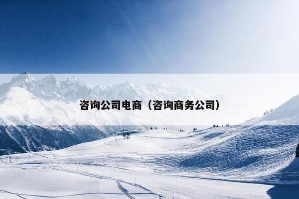 咨询公司电商（咨询商务公司）