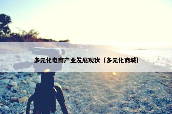 多元化电商产业发展现状（多元化商城）