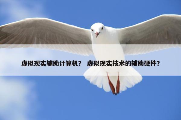 虚拟现实辅助计算机？ 虚拟现实技术的辅助硬件？