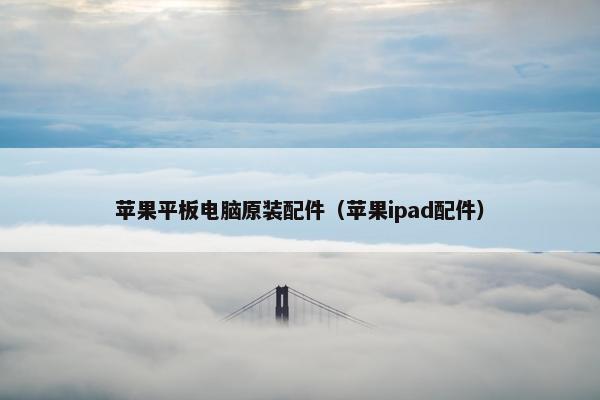苹果平板电脑原装配件（苹果ipad配件）