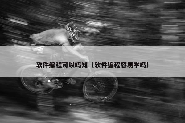 软件编程可以吗知（软件编程容易学吗）