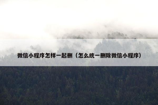 微信小程序怎样一起删（怎么统一删除微信小程序）