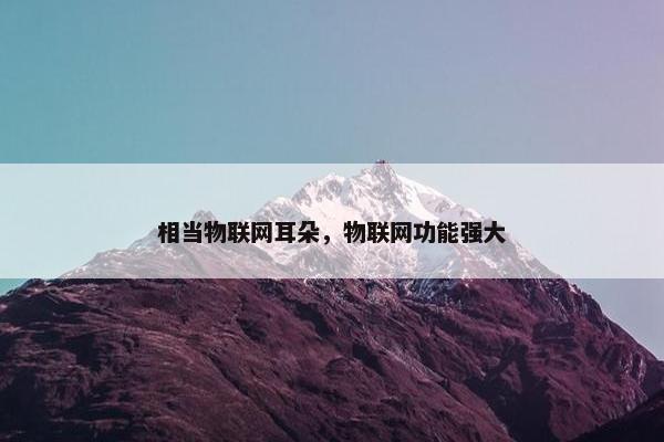 相当物联网耳朵，物联网功能强大