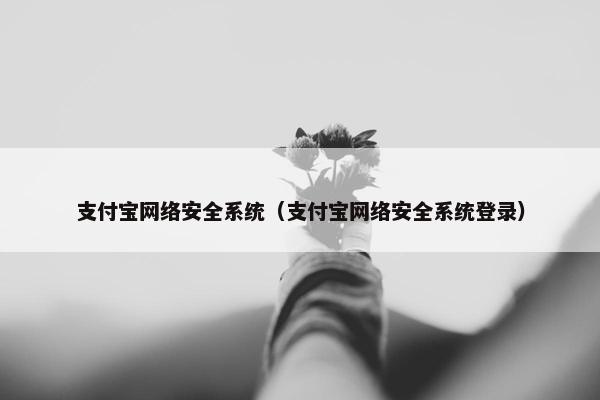 支付宝网络安全系统（支付宝网络安全系统登录）