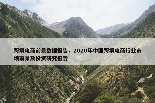 跨境电商前景数据报告，2020年中国跨境电商行业市场前景及投资研究报告