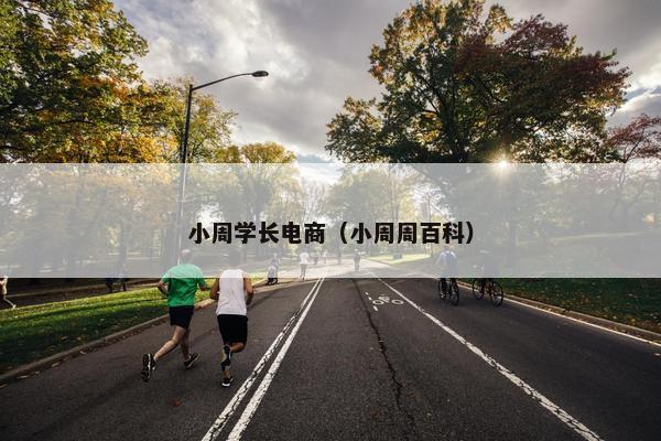 小周学长电商（小周周百科）