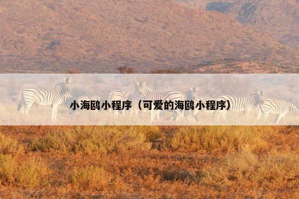 小海鸥小程序（可爱的海鸥小程序）