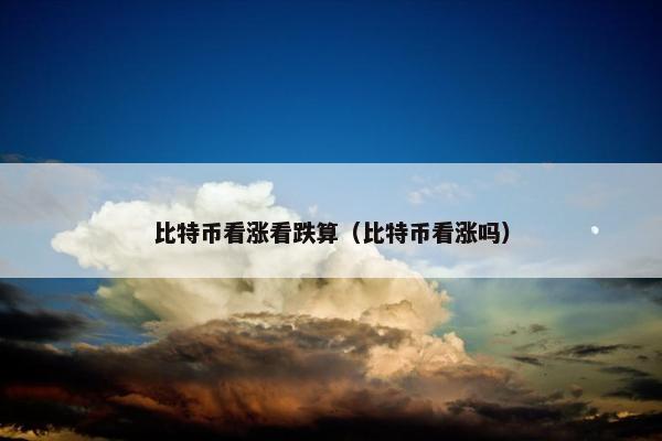 比特币看涨看跌算（比特币看涨吗）