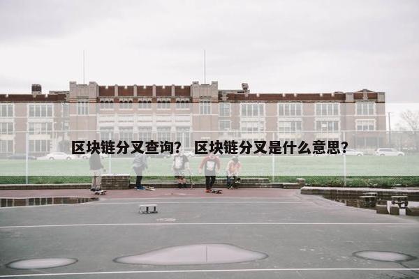 区块链分叉查询？ 区块链分叉是什么意思？