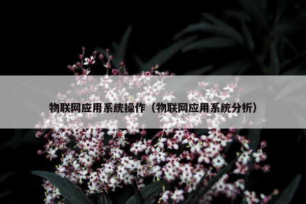 物联网应用系统操作（物联网应用系统分析）