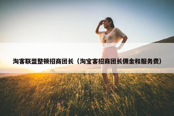 淘客联盟整顿招商团长（淘宝客招商团长佣金和服务费）