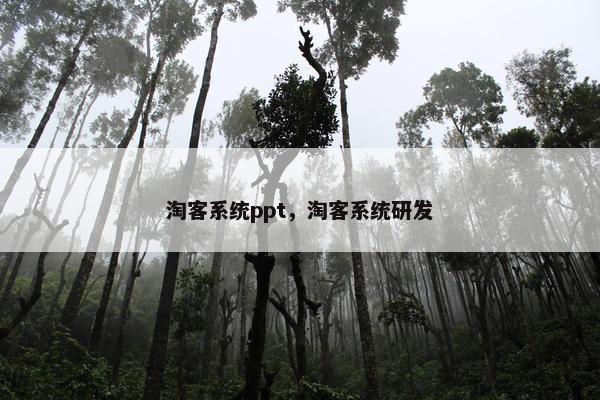 淘客系统ppt，淘客系统研发