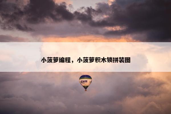 小菠萝编程，小菠萝积木锁拼装图