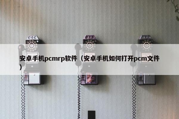 安卓手机pcmrp软件（安卓手机如何打开pcm文件）