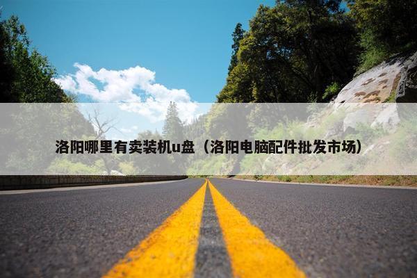 洛阳哪里有卖装机u盘（洛阳电脑配件批发市场）