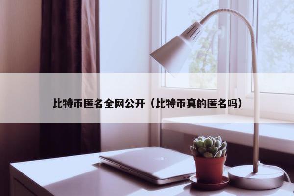 比特币匿名全网公开（比特币真的匿名吗）
