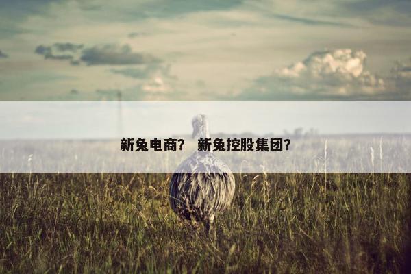 新兔电商？ 新兔控股集团？