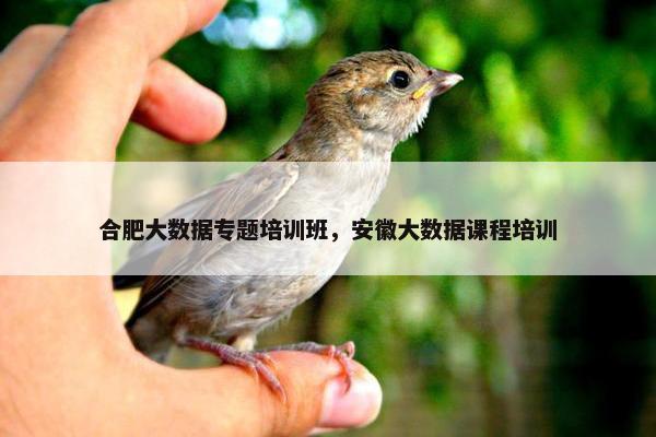 合肥大数据专题培训班，安徽大数据课程培训