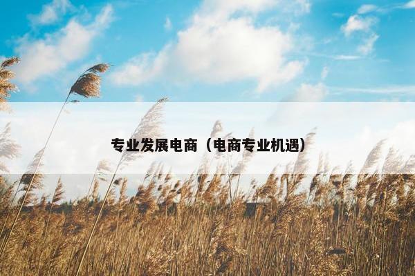专业发展电商（电商专业机遇）