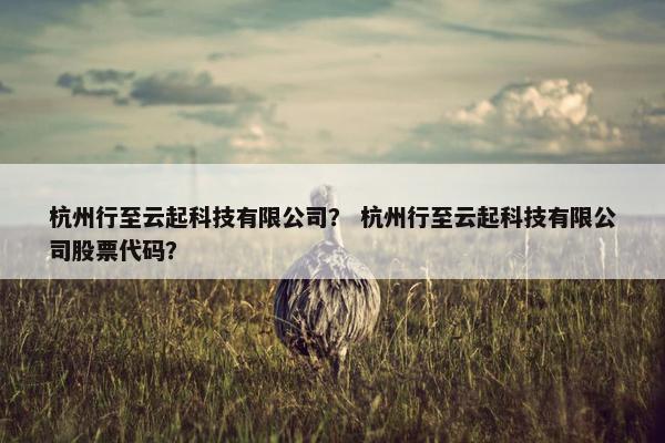 杭州行至云起科技有限公司？ 杭州行至云起科技有限公司股票代码？