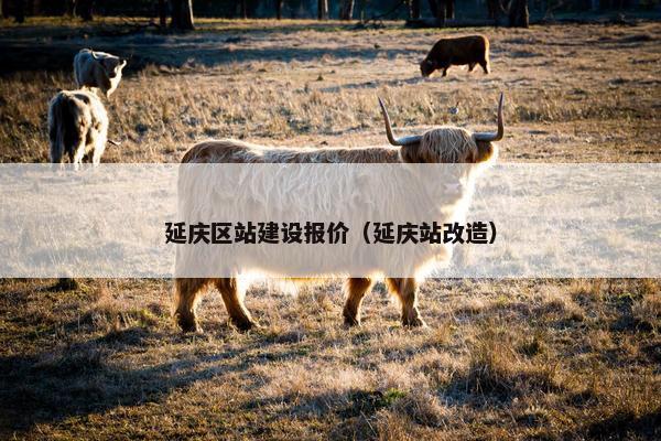 延庆区站建设报价（延庆站改造）