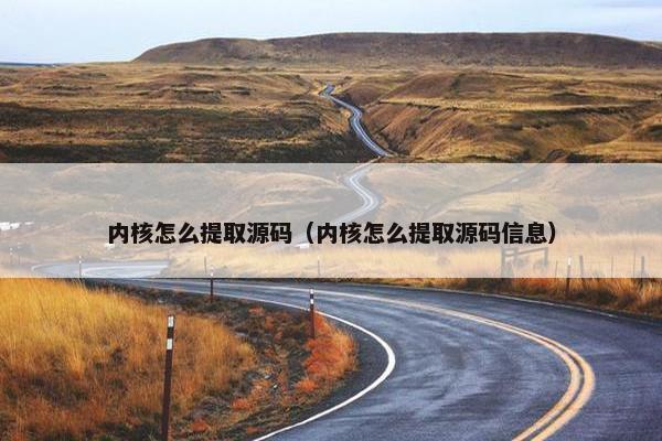内核怎么提取源码（内核怎么提取源码信息）