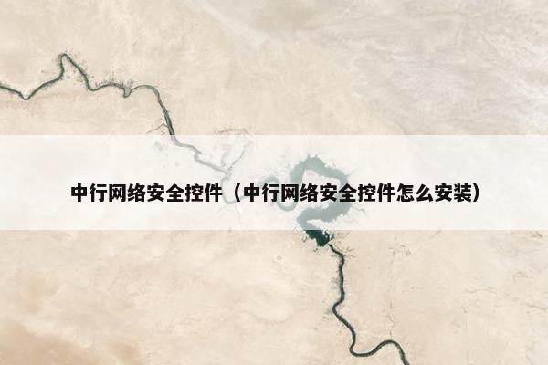 中行网络安全控件（中行网络安全控件怎么安装）