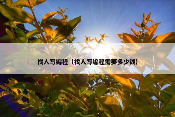 找人写编程（找人写编程需要多少钱）
